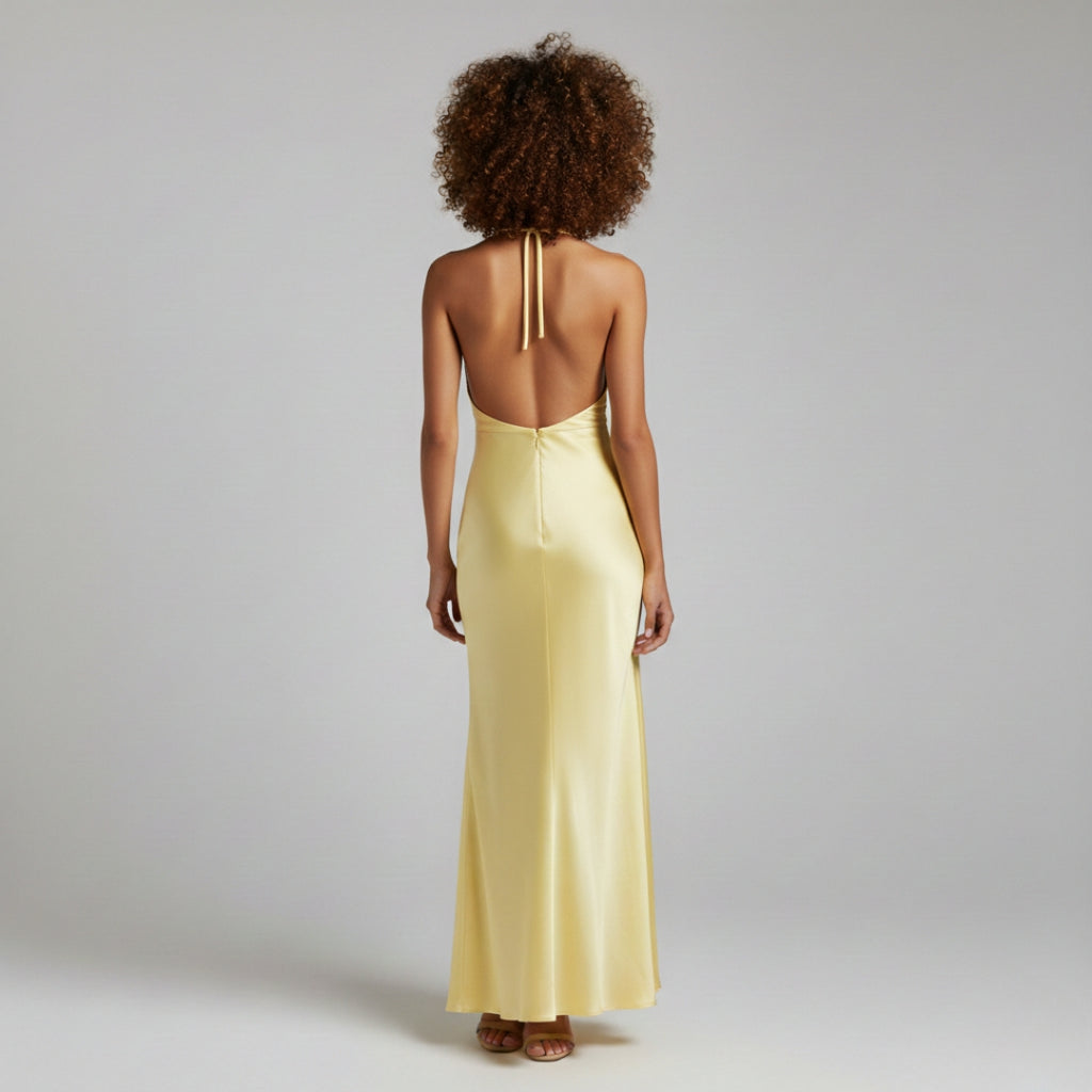 LUCIA Backless V Neck Maxi Dress